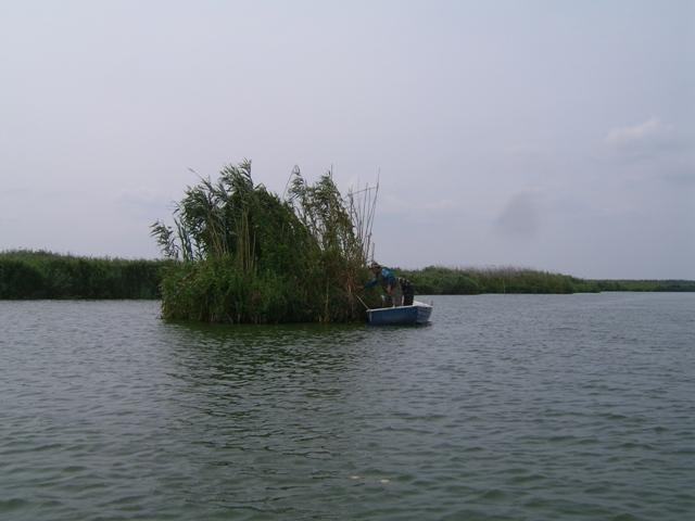 Delta forever - 147.jpg